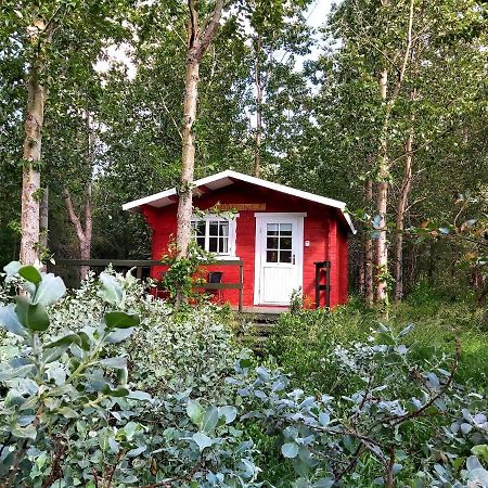 Bakkakot 3 Cozy Cabin In The Woods อาคูเรย์รี ภายนอก รูปภาพ