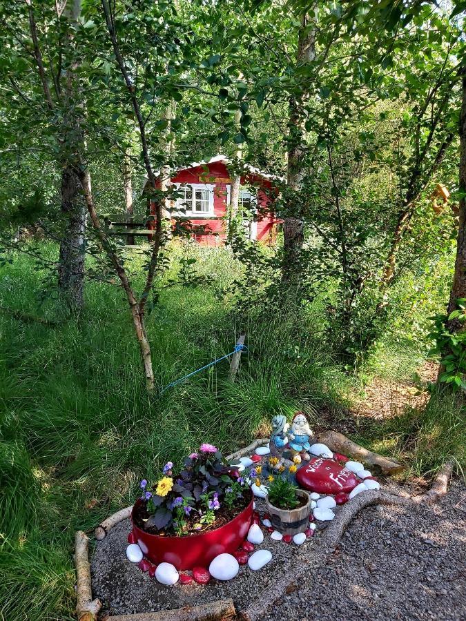 Bakkakot 3 Cozy Cabin In The Woods อาคูเรย์รี ภายนอก รูปภาพ